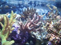 100_1234.jpg