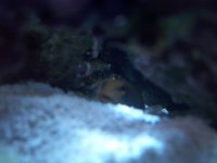 100_1254.jpg