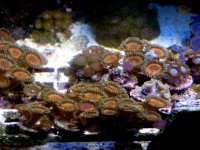 IMG_0482.jpg IMG_0482.jpg