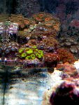 IMG_0483.jpg IMG_0483.jpg