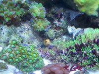 100_1272.jpg
