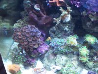 100_1274-1.jpg