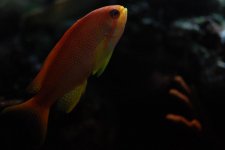 DSC_0179.jpg