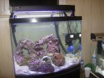 fish 001.jpg