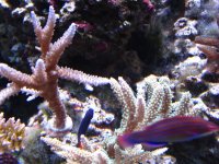 IPhone pictures 001.jpg