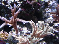 IPhone pictures 002.jpg