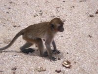 Thailand2.jpg