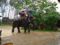 Thailand4.jpg