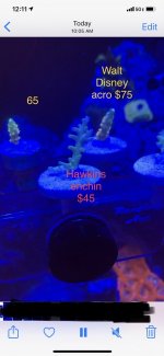 3B38848B-EC5C-4E37-BF01-5BF4CC45596B.jpeg