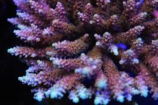 BF98177D-8659-4828-88D5-8D74254638D1.jpeg