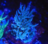 165193E7-C83B-44FD-9280-C7C3F5B4A2B2.jpeg