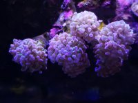 20211018_185721.jpg