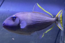 4C5EE9D6-65B1-49DB-A6C3-C1E9F563ED14.jpeg