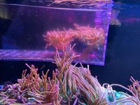 IMG_1086.jpg