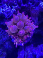 IMG_6196.jpeg