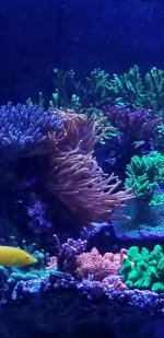 Screenshot_20211102-072050_Gallery.jpg