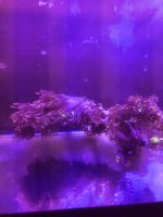 D39CFED7-5546-45E6-B094-7575B46062C0.jpeg