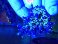 CA10351B-96C7-4F5D-A78D-1A5D7E6989D9.jpeg