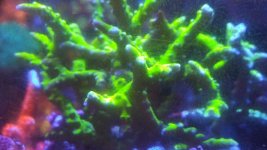 20211028_184641.jpg
