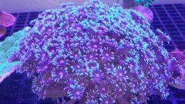 20170722_161933.jpg