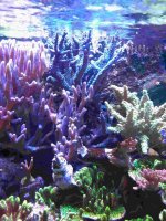 20211111_210903_compress.jpg