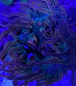906E08D0-4C67-4DEE-BC4A-B193F952C4C3.jpeg