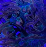 8B989499-D4D7-4B8E-AF04-18E5E8218EA8.jpeg