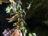 52B6331F-02A9-4654-B507-C05838D15C96.jpeg