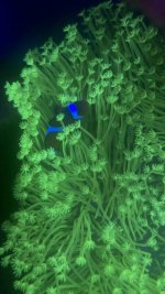 27769232-3842-4E21-9A6E-EB21531626C0.jpeg