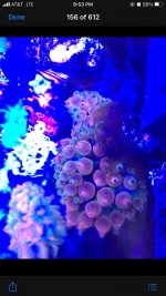 1DA6B598-AAB2-48A2-B374-731341129E34.jpg