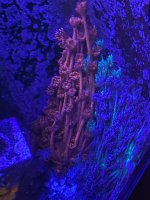 image0 (4).jpeg