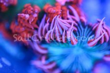 IMG_1856November 29, 2021.jpg