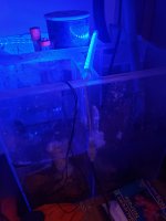 20211201_162154_resized.jpg