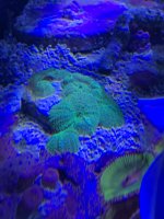 9151E385-F418-4B87-8A3A-A9FEB63E86E8.jpeg