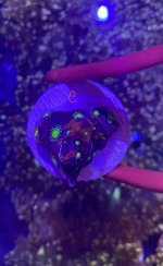 22F21C69-E7F8-4F9E-9017-EA39769A9AD4.jpeg