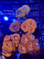 4F3841AA-2050-42CE-8847-EC53197DA0DC.jpeg