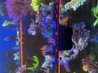 820AA802-282F-46D8-91C6-5E9BB83EEFBB.jpeg