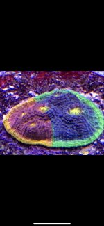 CBD44B5C-EE43-4D14-B4C3-61BBB56F33AE.jpg