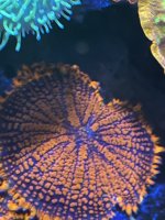 C53C3202-3852-4E40-BA71-5748F55B4B86.jpeg
