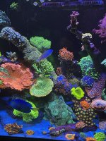 75F82DCE-E045-4ABC-92C0-FFFFA0507665.jpeg
