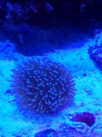 20220115_194534.jpg