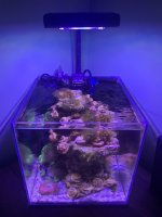 IMG_4864.JPG