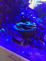 C2E85D9A-C2D8-4585-AABA-7BBDBD4416E8.jpeg
