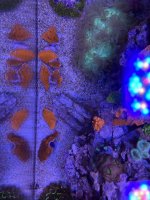 IMG_3364_2.jpg