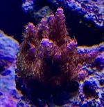 20E904D5-E4C4-4FA0-B17D-1D328BCDB433.jpeg