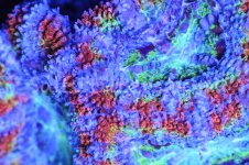 IMG_3059January 28, 2022.jpg