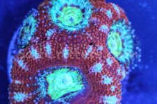 IMG_2982January 27, 2022.jpg