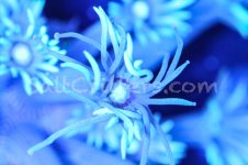 IMG_2984January 27, 2022.jpg