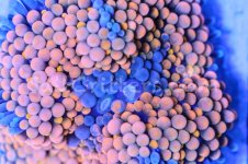 IMG_2985January 27, 2022.jpg