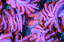 IMG_3222February 04, 2022.jpg